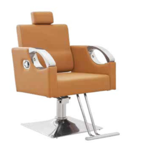 Salon Chair