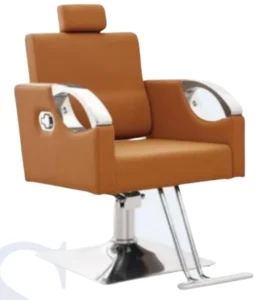 Professional Leather Beauty Salon Chair with Footrest & Recliner
